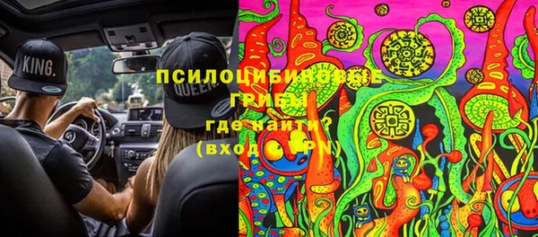 ПСИЛОЦИБИНОВЫЕ ГРИБЫ Белоозёрский